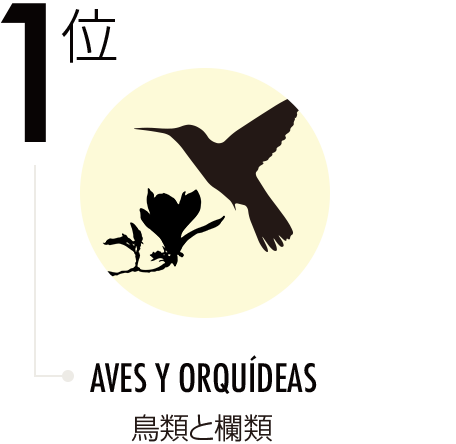 鳥類と欄類