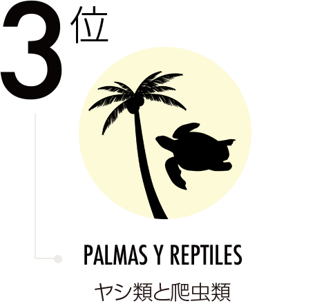 ヤシ類と爬虫類